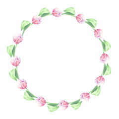 Tulip pink. Floral arrangement. Frame.Wreath. Watercolor