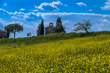 Obraz premium Panorama in val d'Orcia 