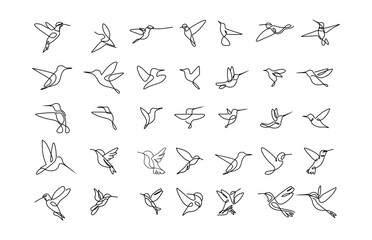 collection of abstract line art illustrations of hummingbirds