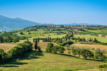 Obraz premium Panorama toscano in Val d'Orcia