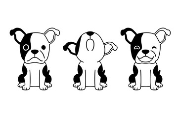 Set of vector black and white cartoon character boston terrier dog for design.