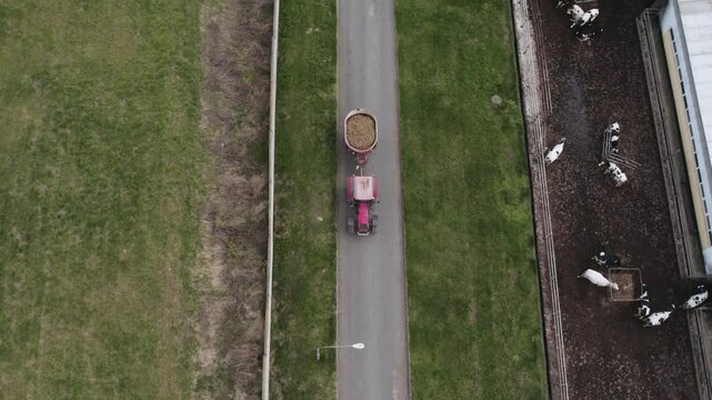 the tractor carries feed to the cows