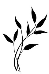 A minimalist silhouette of delicate leaves gracefully arranged on a slender branch, a study in contrasts, evoking a sense of peaceful simplicity. Silhouette of Branch.