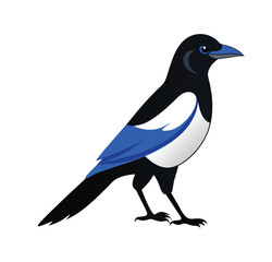 Magpie vector illustratioillustration 