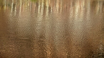 Winter tree landscape reflected in lake