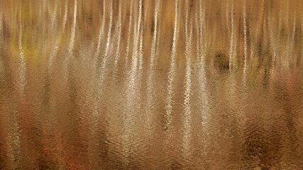 Winter tree landscape reflected in lake
