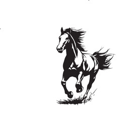 horse vector illustration