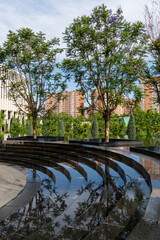 Park Galitsky. Jacaranda trees (Jacaranda mimosifolia) grow in recreation area of ​​Infinity fountain against backdrop of Krasnodar stadium building. Krasnodar, Russia - May 5, 2024.