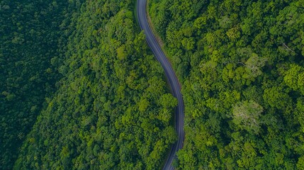 The view from above reveals a road in the forest, with a curving road construction ascending to the mountain, representing the concept of a thriving rainforest ecosystem and a healthy environment