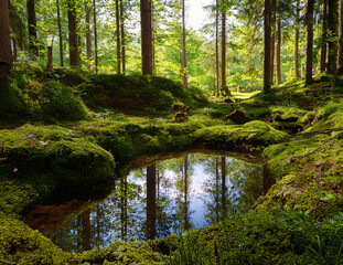 Obraz premium Generated image 森の泉