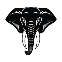 elephant isolated on white