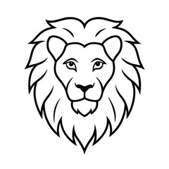 lion vector illustration