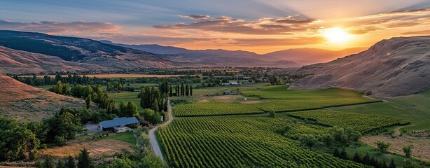 A breathtaking sunset over lush vineyards nestled in rolling hills, creating a serene and picturesque landscape.