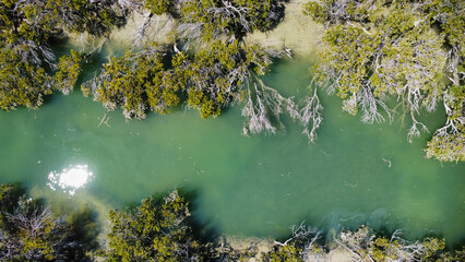 A winding river course in Southern Australia, seen from above