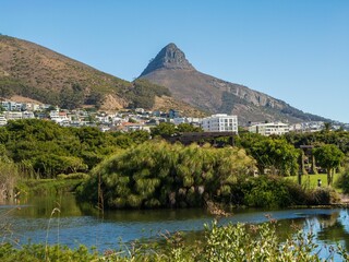 Scenic view of Lion's Head mountain and lush greenery with a pond in Cape Town.