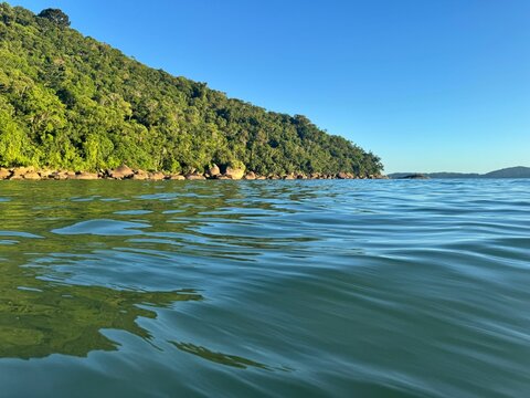Serene coastal view with lush forest and calm sea.