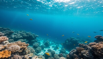 Fototapeta premium Swimming with Small Fishes in a Beautiful Coral Reef Underwater View