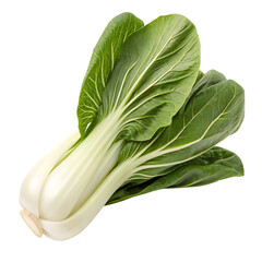 A whole bok choy isolated on a transparent background