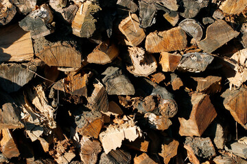 雑木林整備の伐採時に出来る枯れ木を利用した薪が無造作に積み上げられている乾燥した冬晴れの屋外風景。