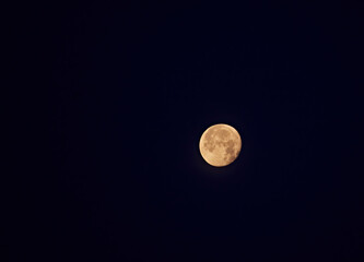 Amber Moon in Dark Sky