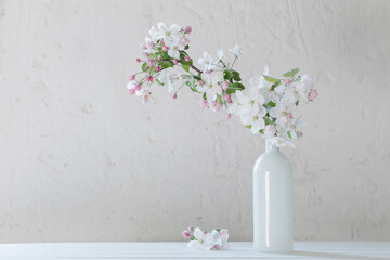 spring flowers in vase on white background