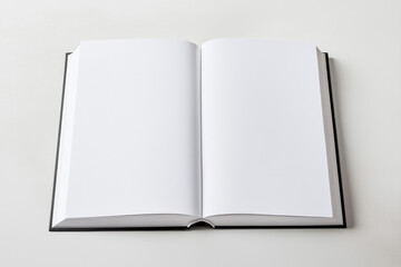 An open blank book showcasing clean pages for notes or creativity. isolated on white background.