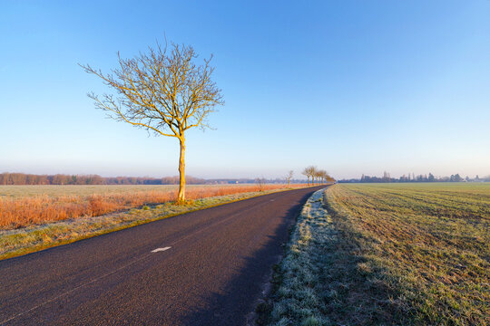 Country road to Arbonne in winter season. French Gatinais Regional Nature Park	
