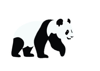 Fototapeta premium Cute panda black and white. Vector illustration of panda bear, isolated on white background.