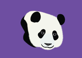 Black and white panda face. Vector illustration of panda bear, isolated on white background.