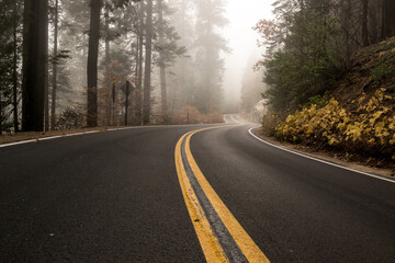 Fototapeta premium United States National Park road