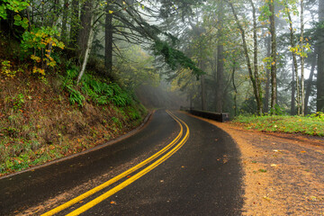 Obraz premium United States National Park road