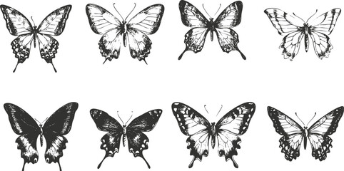 Fototapeta premium Set of eight black and white butterfly illustrations in a vector style.