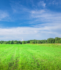 Large field of green grass with a clear blue sky above