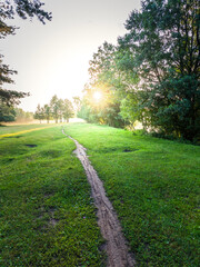 Path through a grassy field with trees in the background