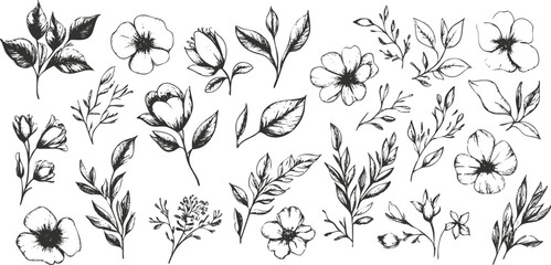 Black and white floral illustration featuring various flowers and leaves.