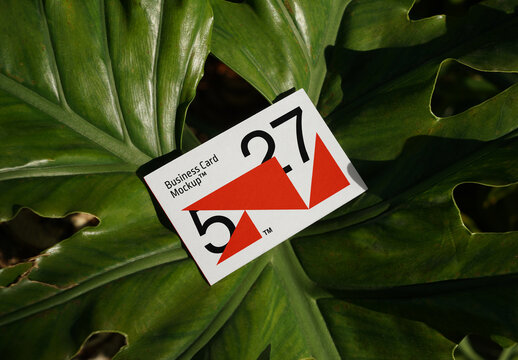 Business Card Lying on a Leaf Mockup