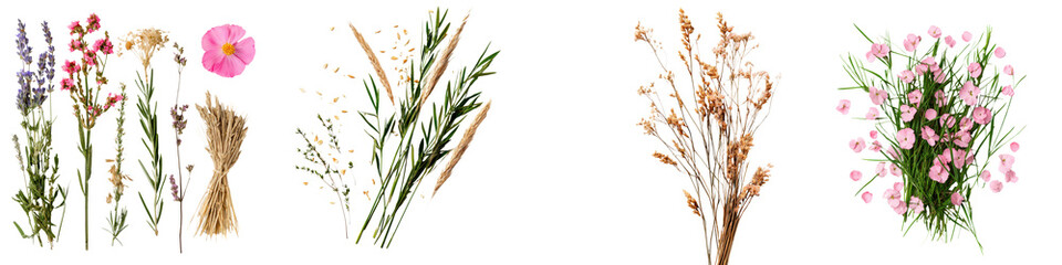 Assorted Vibrant Floral Bouquet with Various Colorful Flowers and Plants Arranged in a Natural Organic Design  Includes Blooming Florals Greenery and Stems on a White Background