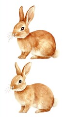 Fototapeta premium Two adorable watercolor rabbits sitting gracefully side by side