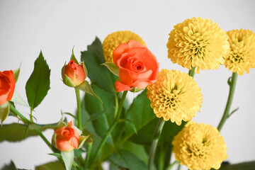 薔薇とスプレーマム