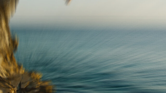 Dynamic Epic Zoom In Transitions