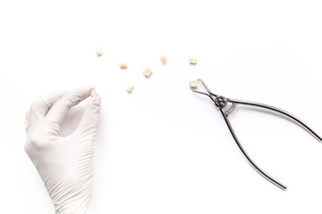 Dentist are holding dental teeth crowns for dental prosthetics, top view. Dentist desk, white...