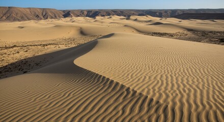 Expansive desert landscape with rippling sand dunes under a clear sky