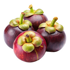 Mangosteen Fruit Isolated on White Background
