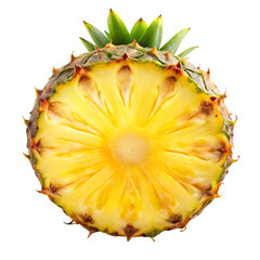 Pineapple Slice Isolated on White Background
