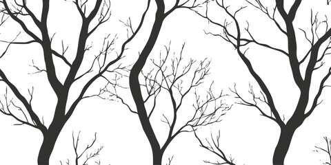 Silhouette of leafless tree branches creating a striking black and white pattern. © vadymstock