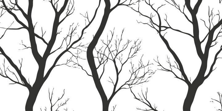 Silhouette of leafless tree branches creating a striking black and white pattern.