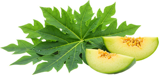 Fresh tropical fruits papaya with leaves isolated on white background