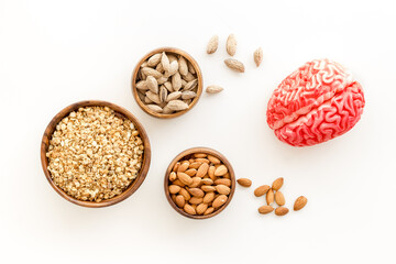 Healthy food for the brain. Human brain model with nuts and grain, top view