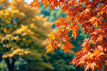 there is a close up of a tree with orange leaves