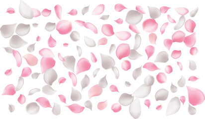 Rose petals on a transparent background. Rose petals or sakura flying petals,Petals Dancing in the Wind Frame